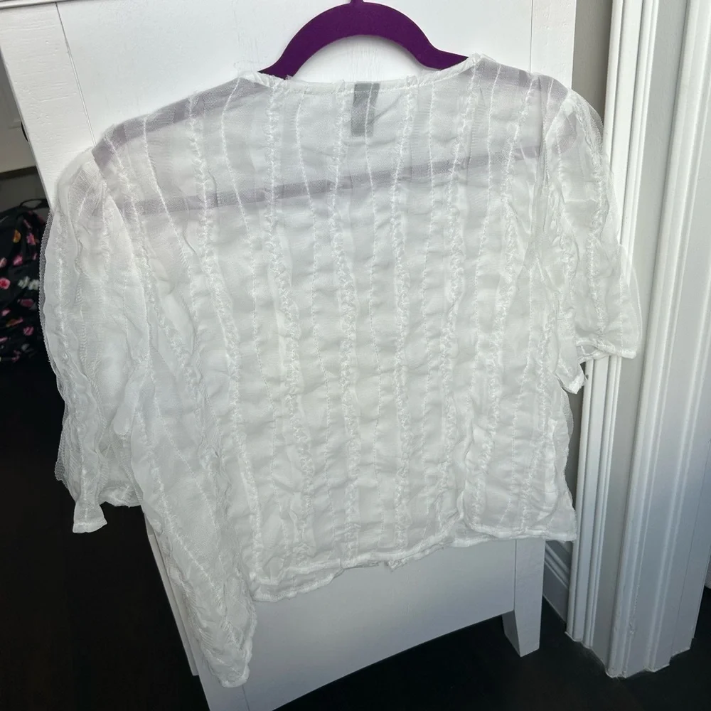 NWOT Sheer Frilled Mesh Blouse - Picture 8 of 9